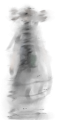 Blurred person 1.png