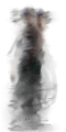 Blurred person 2.png